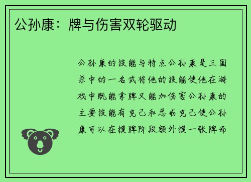 公孙康：牌与伤害双轮驱动